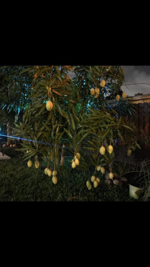 Paradise Oasis1 Golden Glades エクステリア 写真